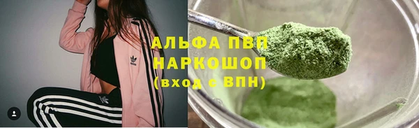молекула духа Гусев