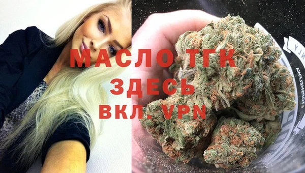 молекула духа Гусев
