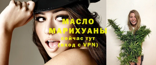 молекула духа Гусев